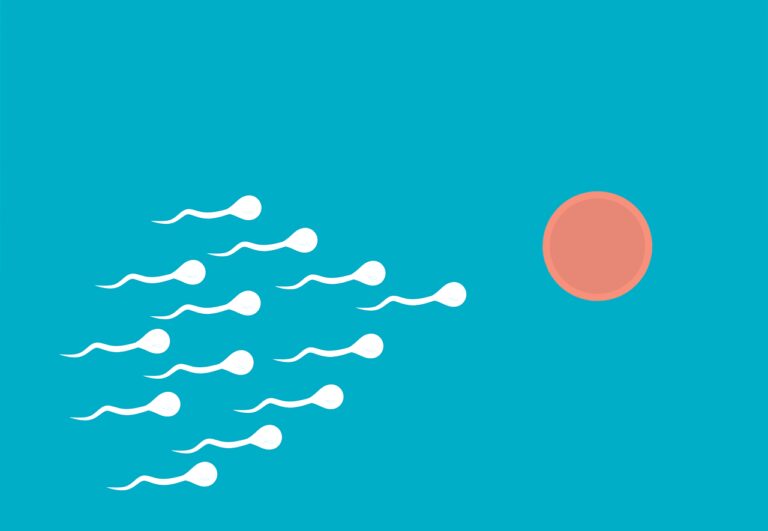 fertilization, sperm, medical